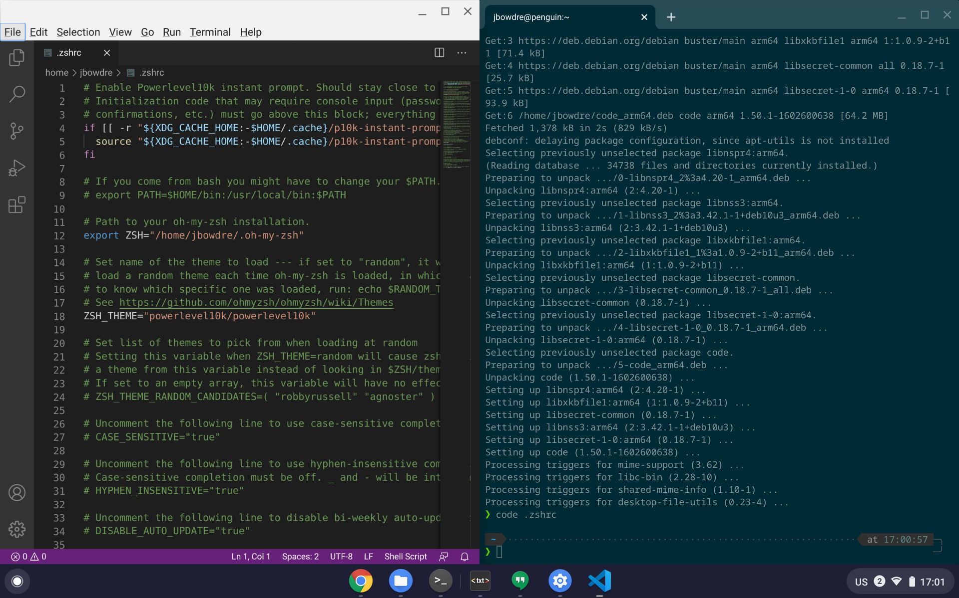 VS Code editing my .zshrc file