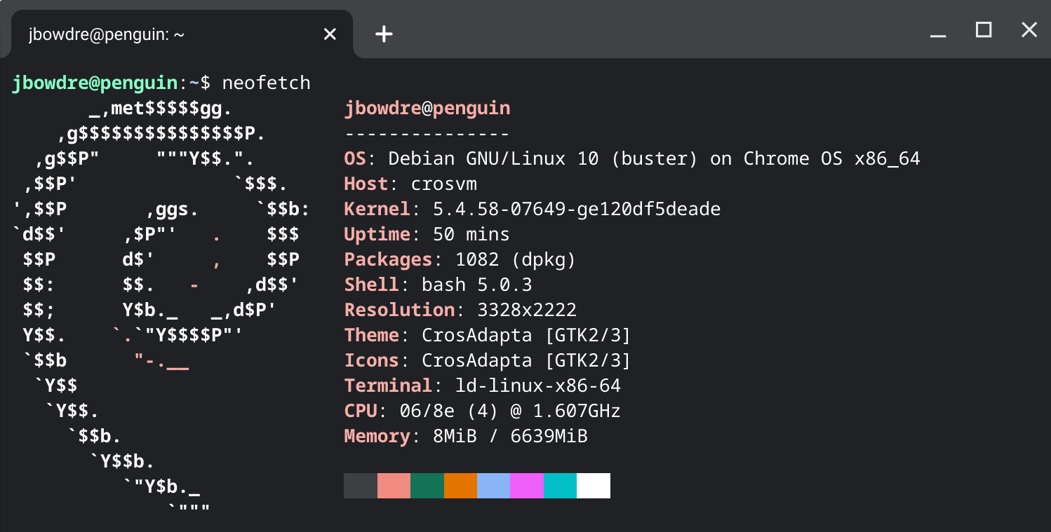 Screenshot of the 'neofetch' utility