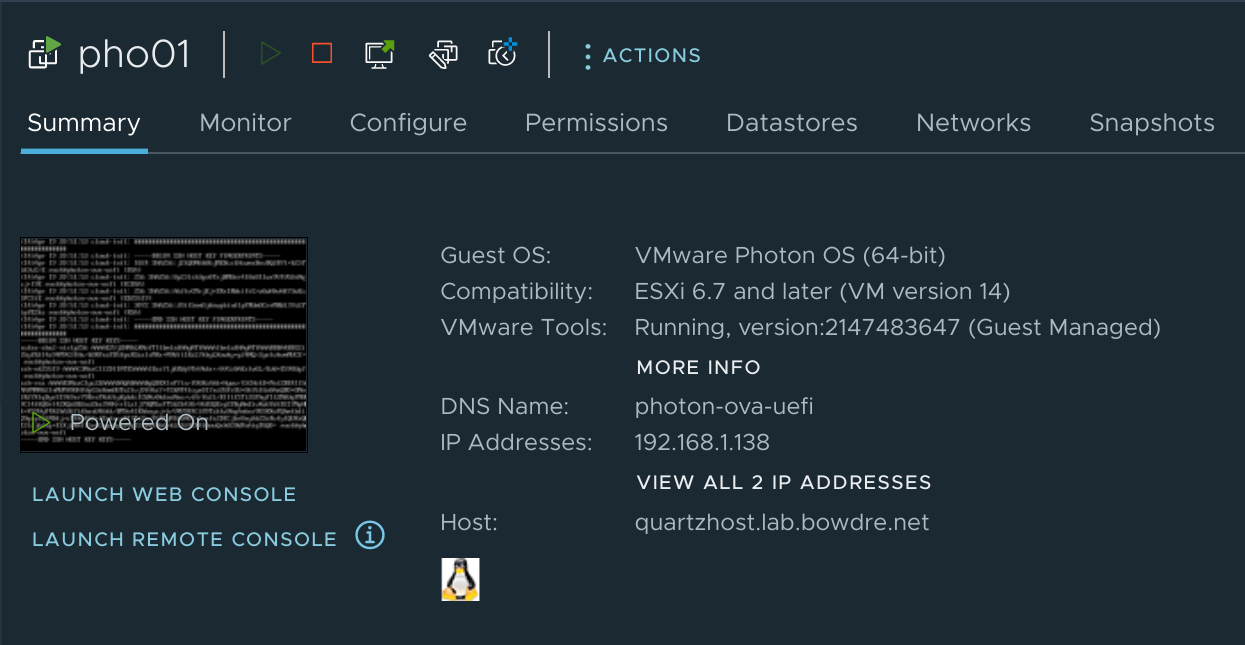 The newly-created Photon VM