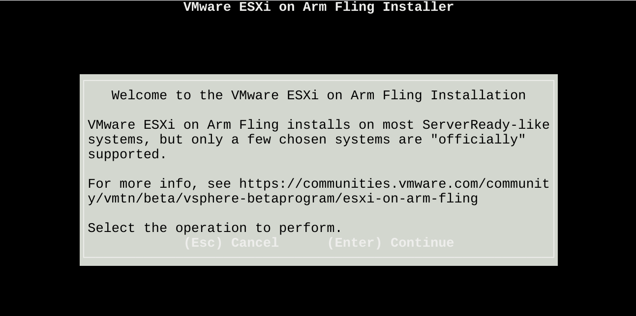 Hi, welcome to the ESXi for ARM installer. I'll be your UI this evening.