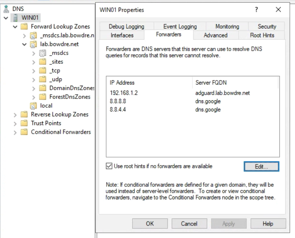 Setting AdGuard Home as a forwarder